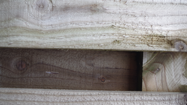 Even the wooden fence is green-ish!