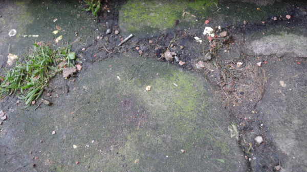 IMGP8584